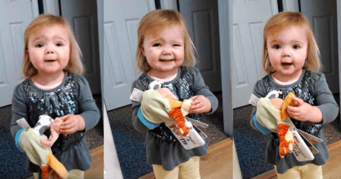 dad-asks-daughter-to-sing-old-macdonald-she-has-her-own-distinctive-adaptation