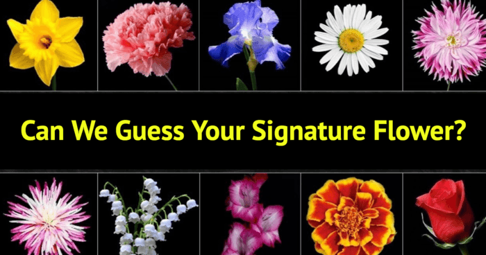 can-we-guess-your-signature-flower