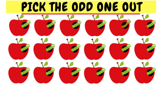 can-you-pick-the-odd-one-out-in-under-5-seconds-quiz