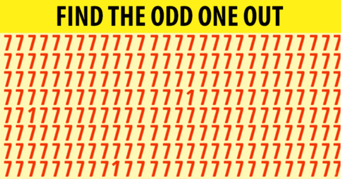We Bet You Can't Find The Odd One Out In 10 Seconds