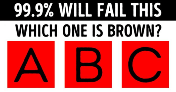 you-are-brilliant-if-you-can-find-the-odd-one-out-in-under-12-seconds-quiz