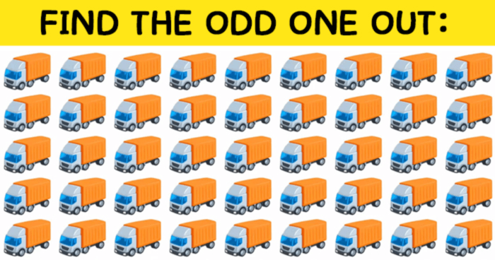 how-fast-can-you-find-the-odd-one-in-this-puzzle-quiz