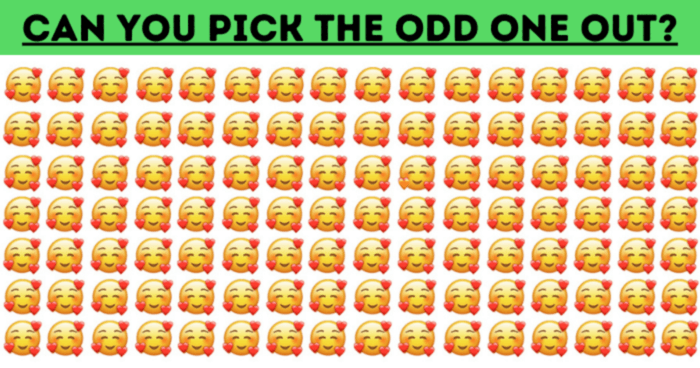 Are You Up To The Challenge? Almost No One Can Ace This Odd One Out Test.