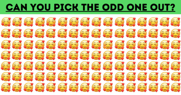 are-you-up-to-the-challenge-almost-no-one-can-ace-this-odd-one-out-test