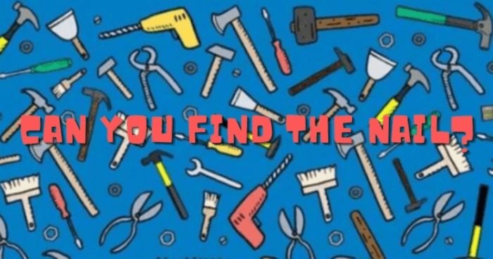 we-bet-you-cant-find-the-hidden-nail-in-the-picture-in-20-seconds-quiz