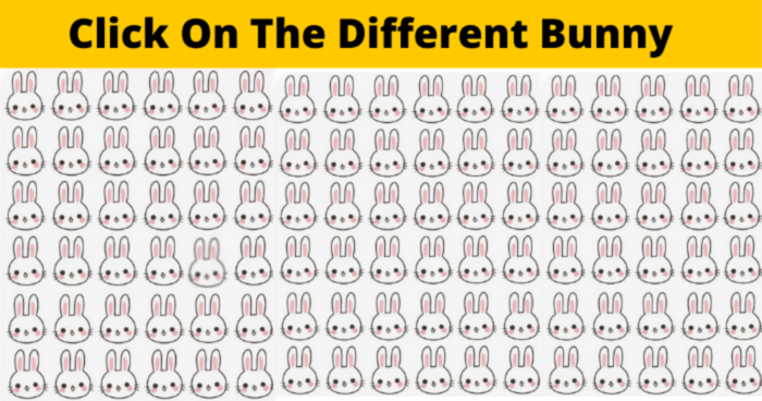 we-bet-you-cant-find-the-different-bunny-in-less-than-10-seconds-quiz