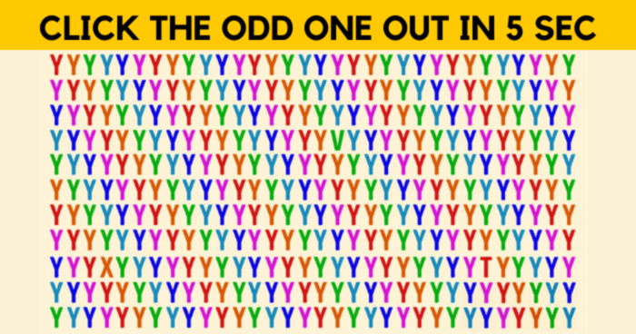Only A Genius Can See The Odd One Out In These 5 Pictures. Give It A Try!