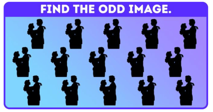 Spot The Different Silhouette In Less Than 15 Seconds