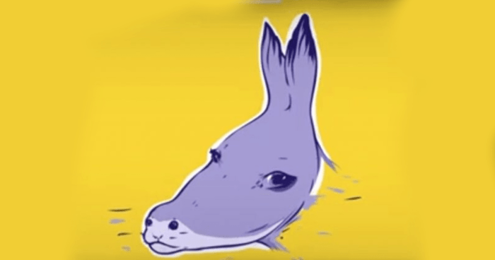 donkey-or-seal-a-visual-illusion-that-shows-your-personality-quiz