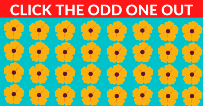 are-you-smart-enough-to-pass-this-odd-one-out-test