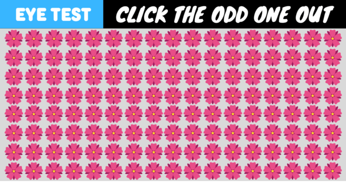 can-you-find-the-odd-flower-out-if-you-can-do-it-under-3-seconds-you-are-a-genius-quiz