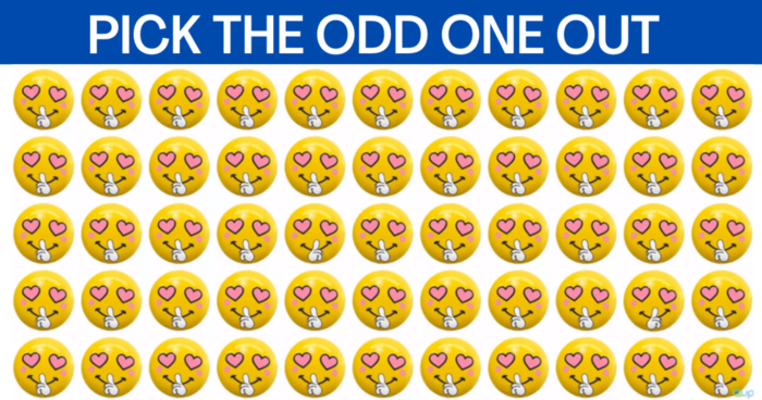 Test Your Attentiveness! Can You Spot The Odd One Out.