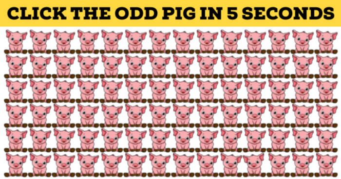 we-gave-this-tough-visual-test-to-100-students-and-no-one-got-10-10-can-you-quiz
