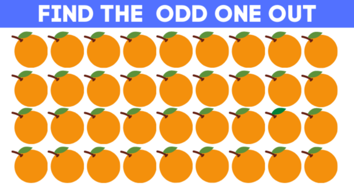Only 1 In 30 Sharp-Eyed People Can Spot The Difference!