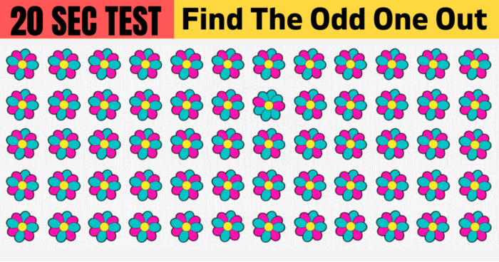 you-have-5-seconds-for-each-picture-so-dont-cheat-quiz