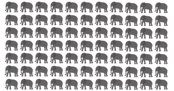 Find 3 Odd Elephants Hiding In The Herd. Only People With Sharp Eyes Can Ace This!