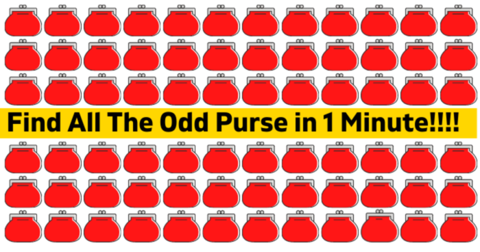 only-19-of-people-will-find-the-odd-purse-out-in-1-minute-quiz
