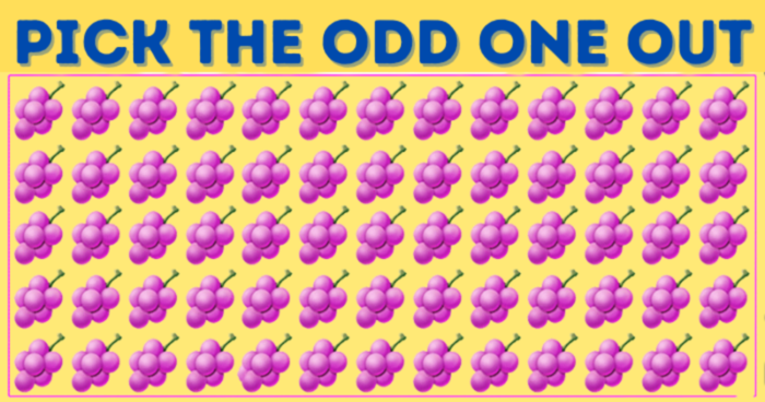 Only Attentive People Will Find The Odd One Out In Less Than 5 Seconds!