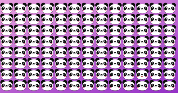 youre-a-great-observer-if-you-can-pick-the-odd-panda-out-only-4-will-quiz