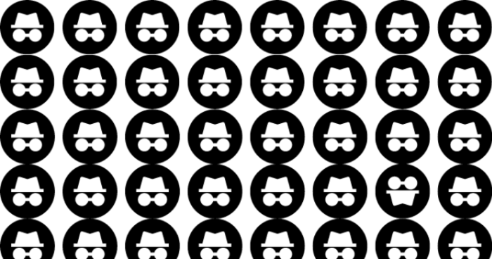 can-you-spot-the-odd-incognito-out-in-less-than-5-seconds