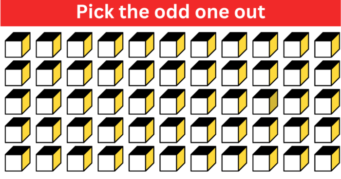 pick-the-odd-one-out-genius-quiz