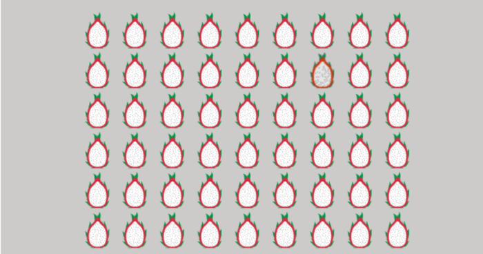 DID YOU SPOT THE ODD DRAGONFRUIT IN UNDER 5 SECONDS? CAN YOU FIND ALL THE ODDS TOO?
