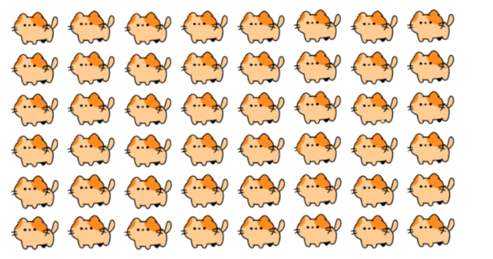 can-you-find-the-3-odd-cats-quiz