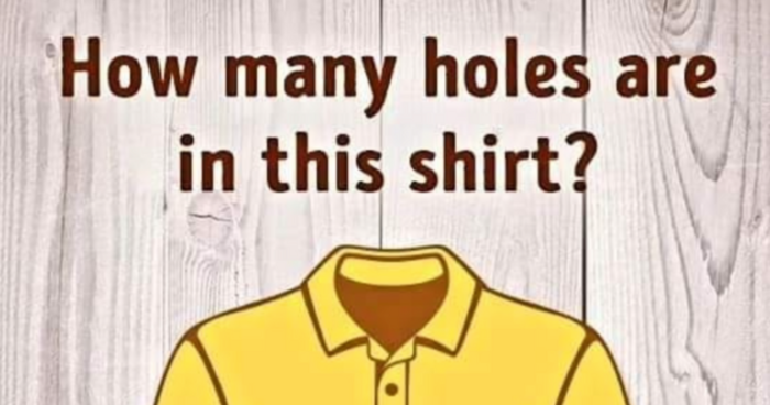 How Many Holes Are In This Shirt?