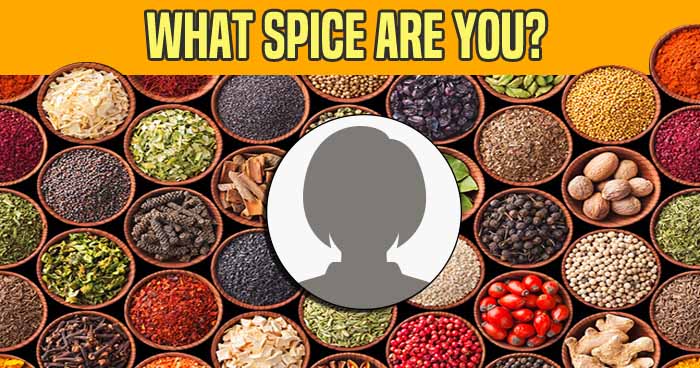 what-spice-are-you-quiz