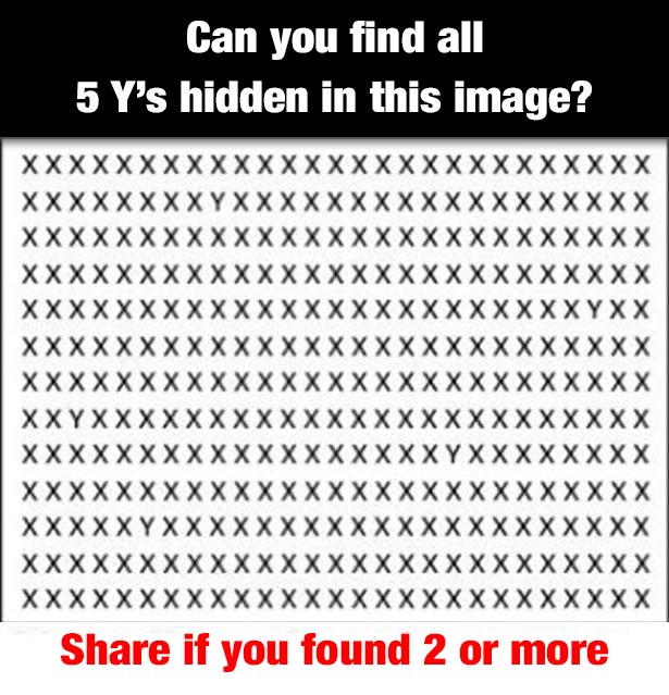can-you-find-all-5-ys-hidden-in-this-image-riddle