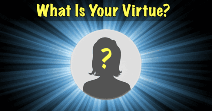 What Is Your Virtue?