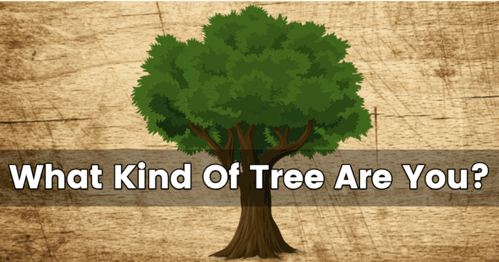 what-kind-of-tree-are-you-quiz