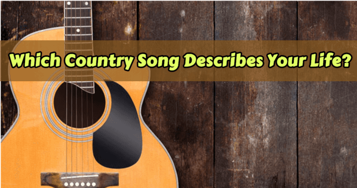Which Country Song Describes Your Life?