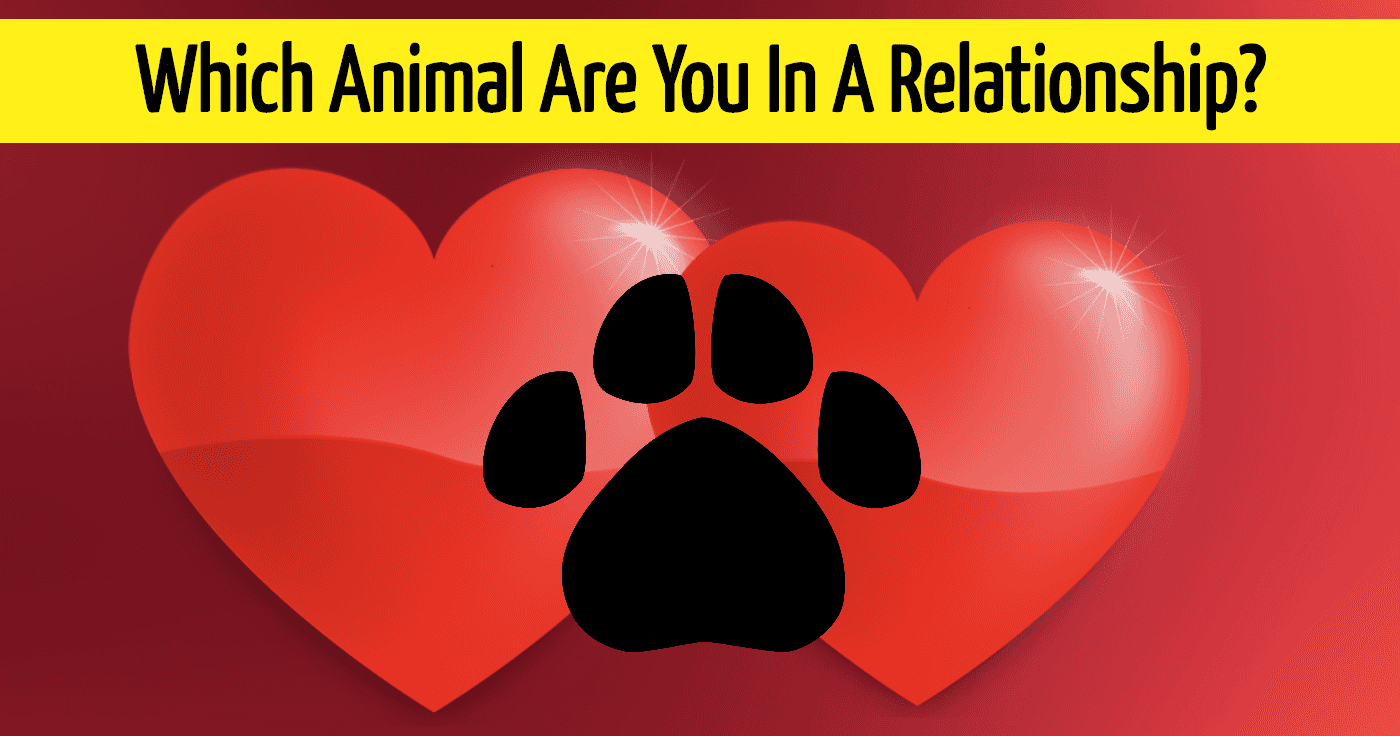 which-animal-are-you-in-a-relationship-quiz