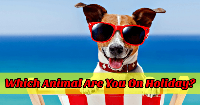 which-animal-are-you-on-holiday-quiz